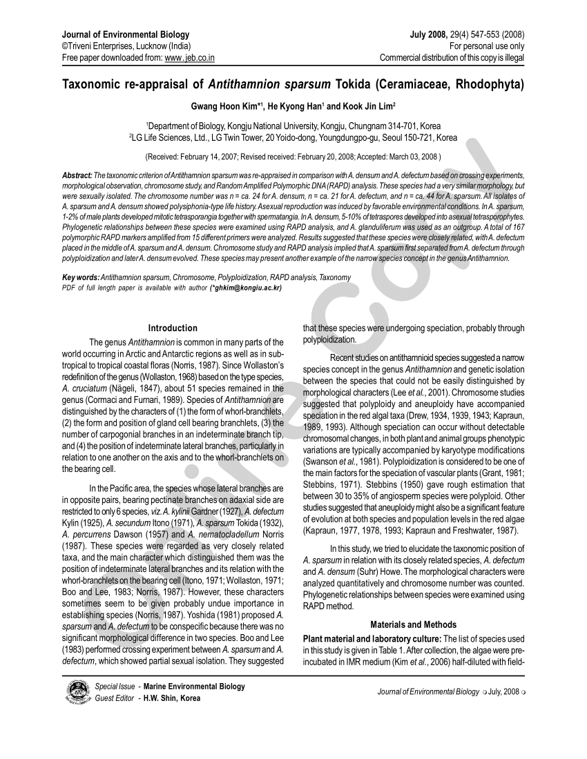 PDF) Taxonomic re-appraisal of Antithamnion sparsum Tokida