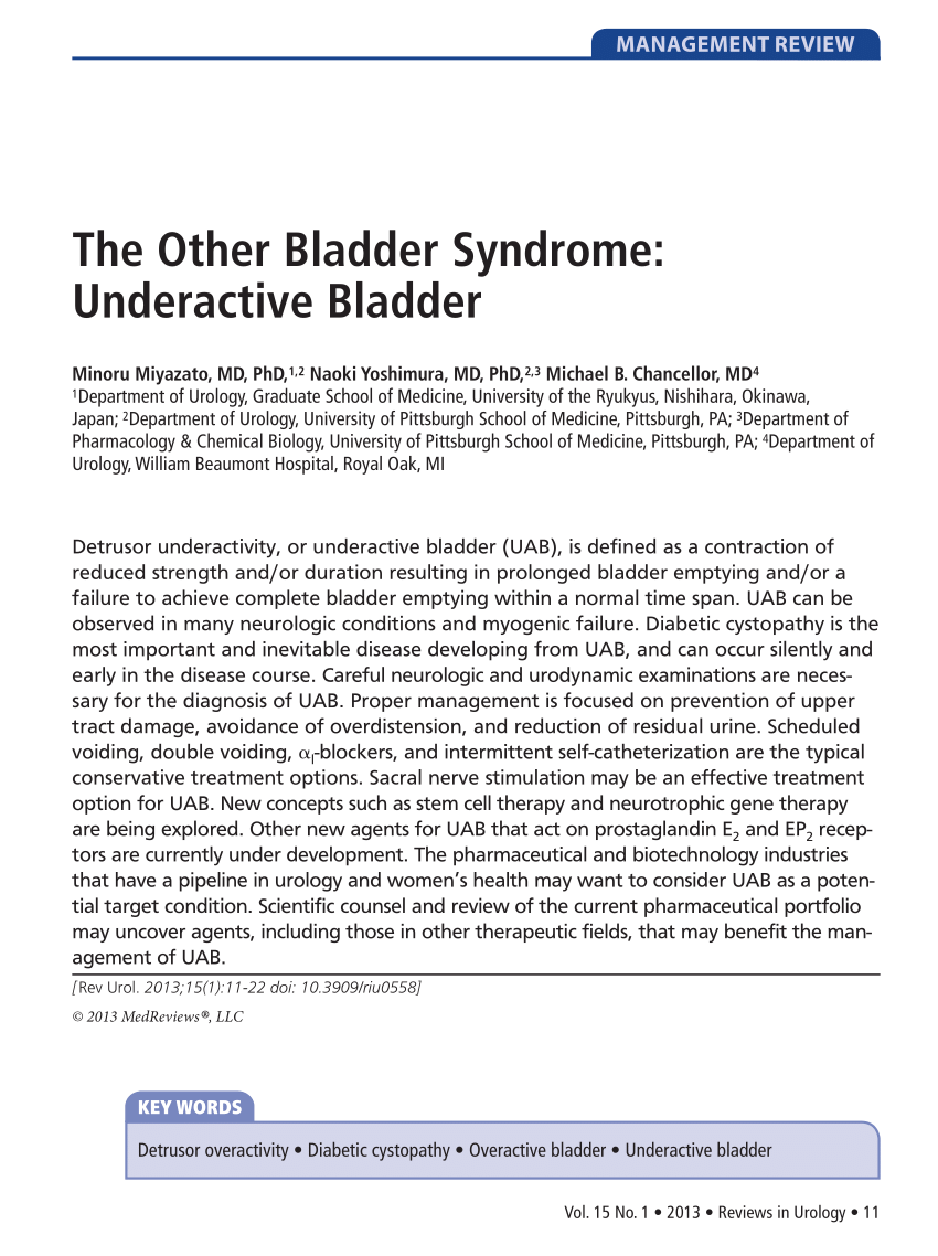 https://i1.rgstatic.net/publication/236741230_The_Other_Bladder_Syndrome_Underactive_Bladder/links/54257cfe0cf238c6ea741076/largepreview.png