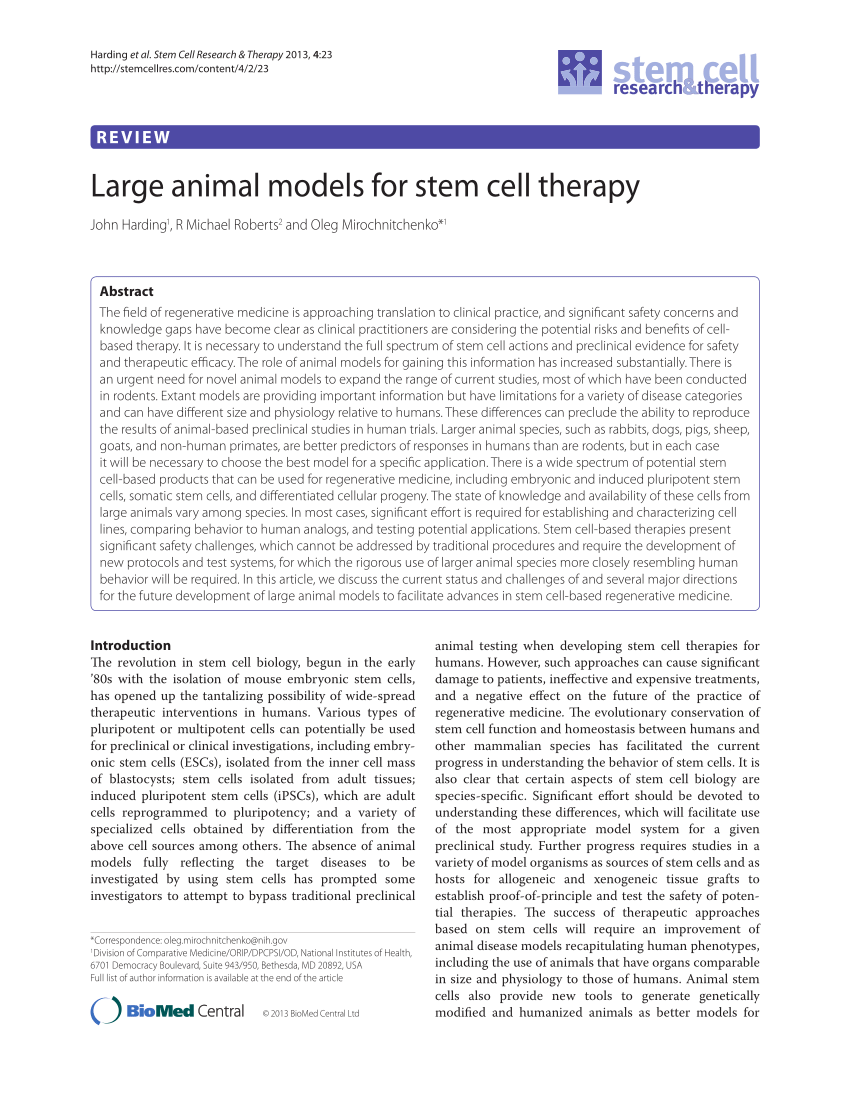 (PDF) Large animal models for stem cell therapy