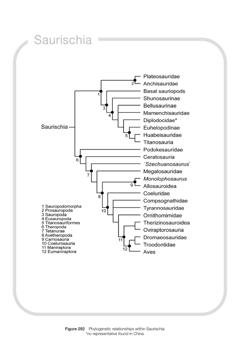 Pdf Saurischia