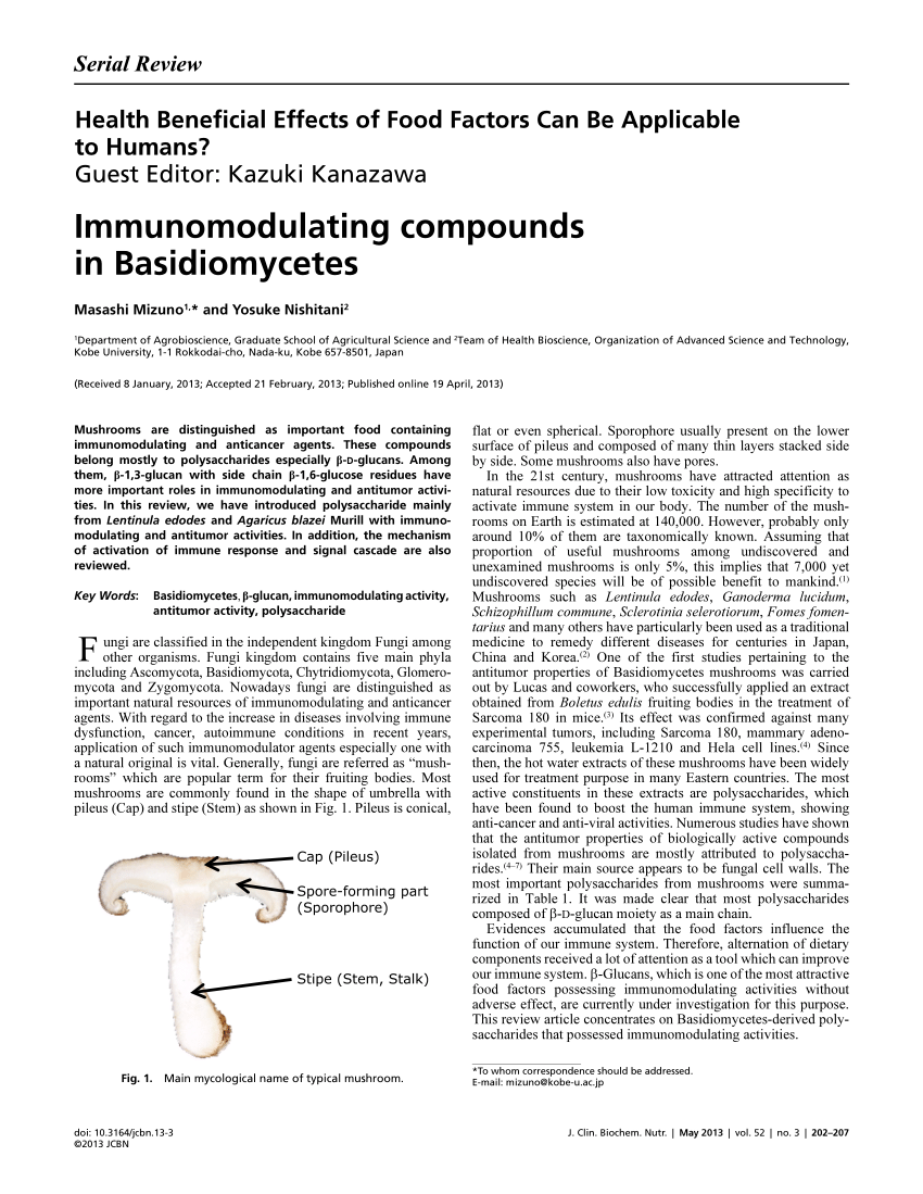 Pdf Immunomodulating Compounds In Basidiomycetes