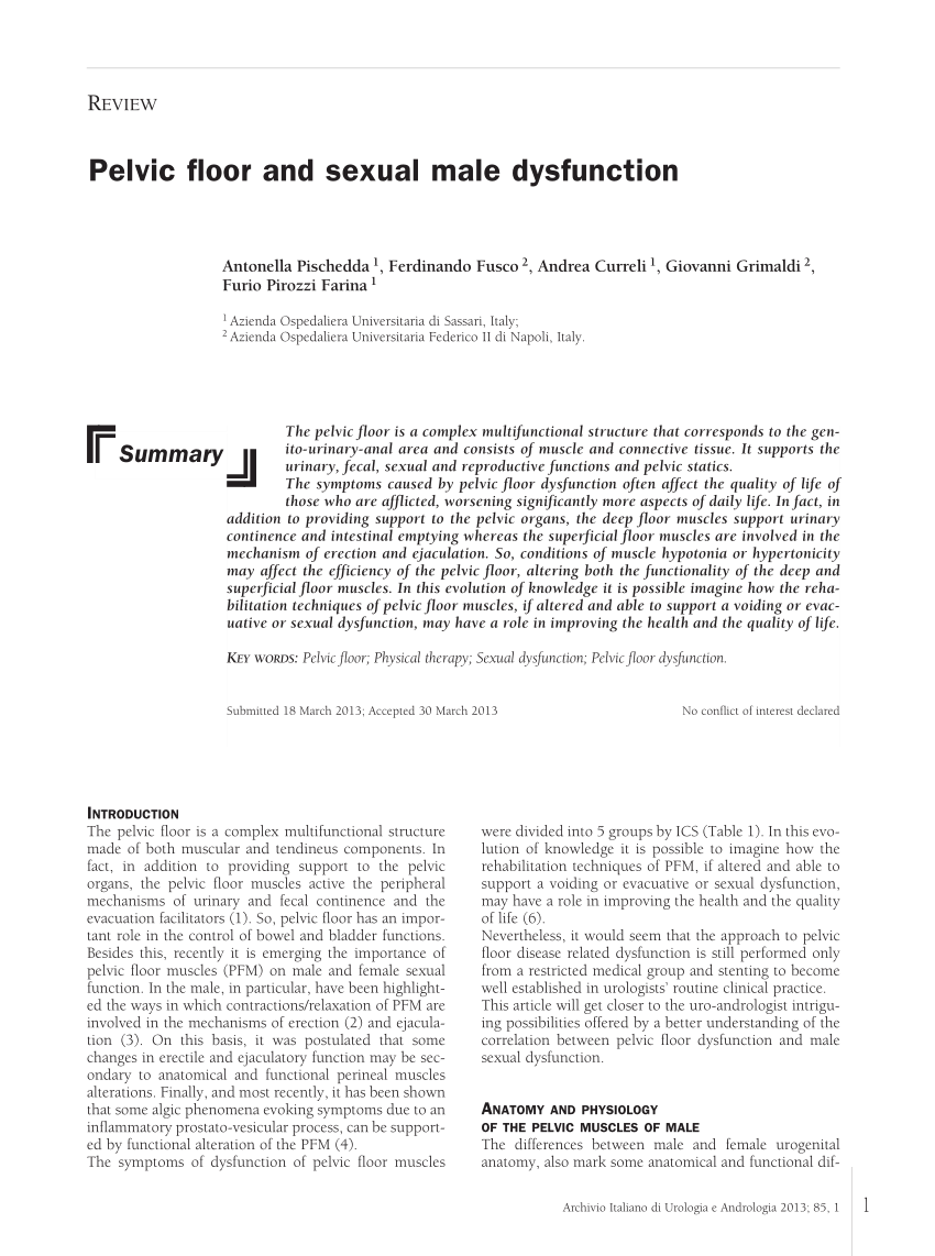 Pdf Pelvic Floor And Sexual Male Dysfunction