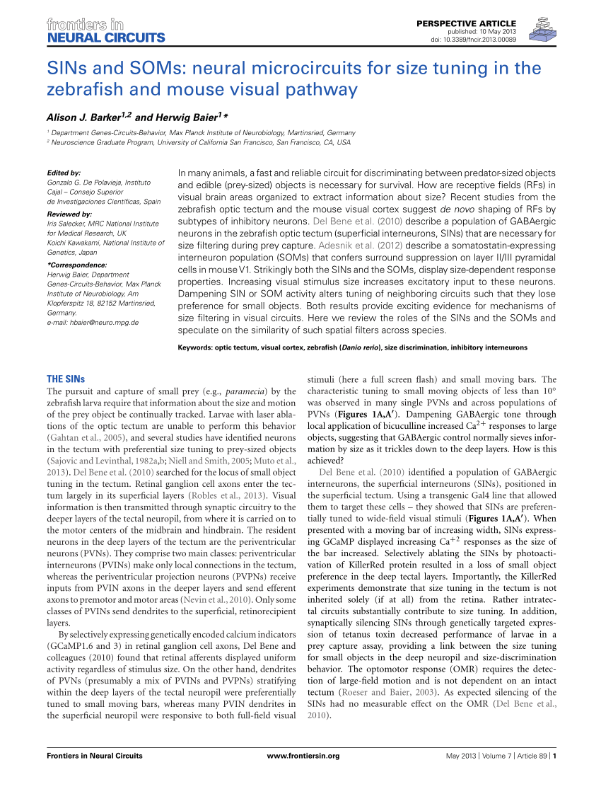 Pdf Sins And Soms Neural Microcircuits For Size Tuning In - 