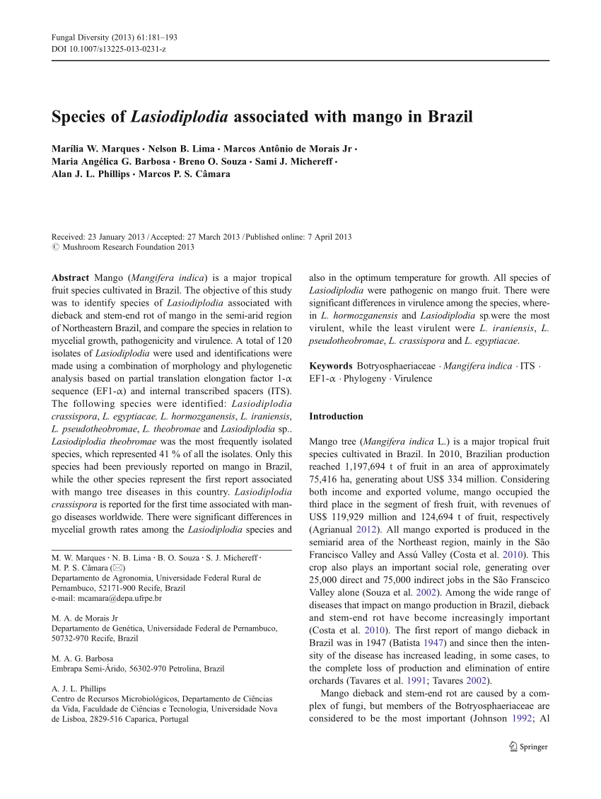 Pdf Species Of Lasiodiplodia Associated With Mango In Brazil