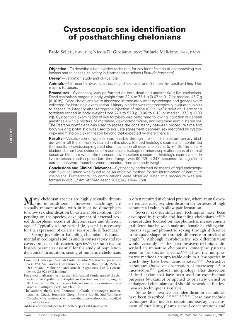 Pdf Cystoscopic Sex Identification Of Posthatchling Chelonians 0429