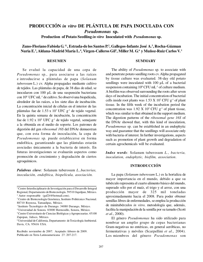 Pdf Produccion In Vitro De Plantula De Papa Inoculada Con Pseudomonas Sp