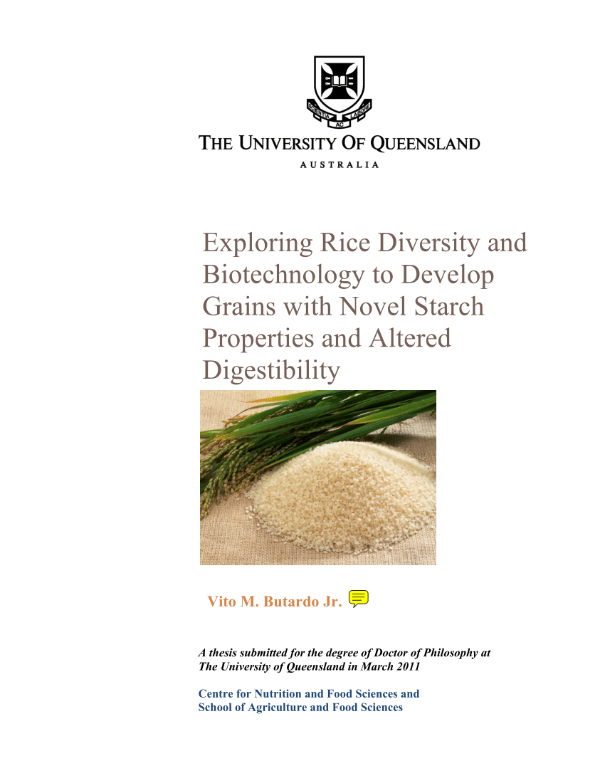 rice diversity essay examples