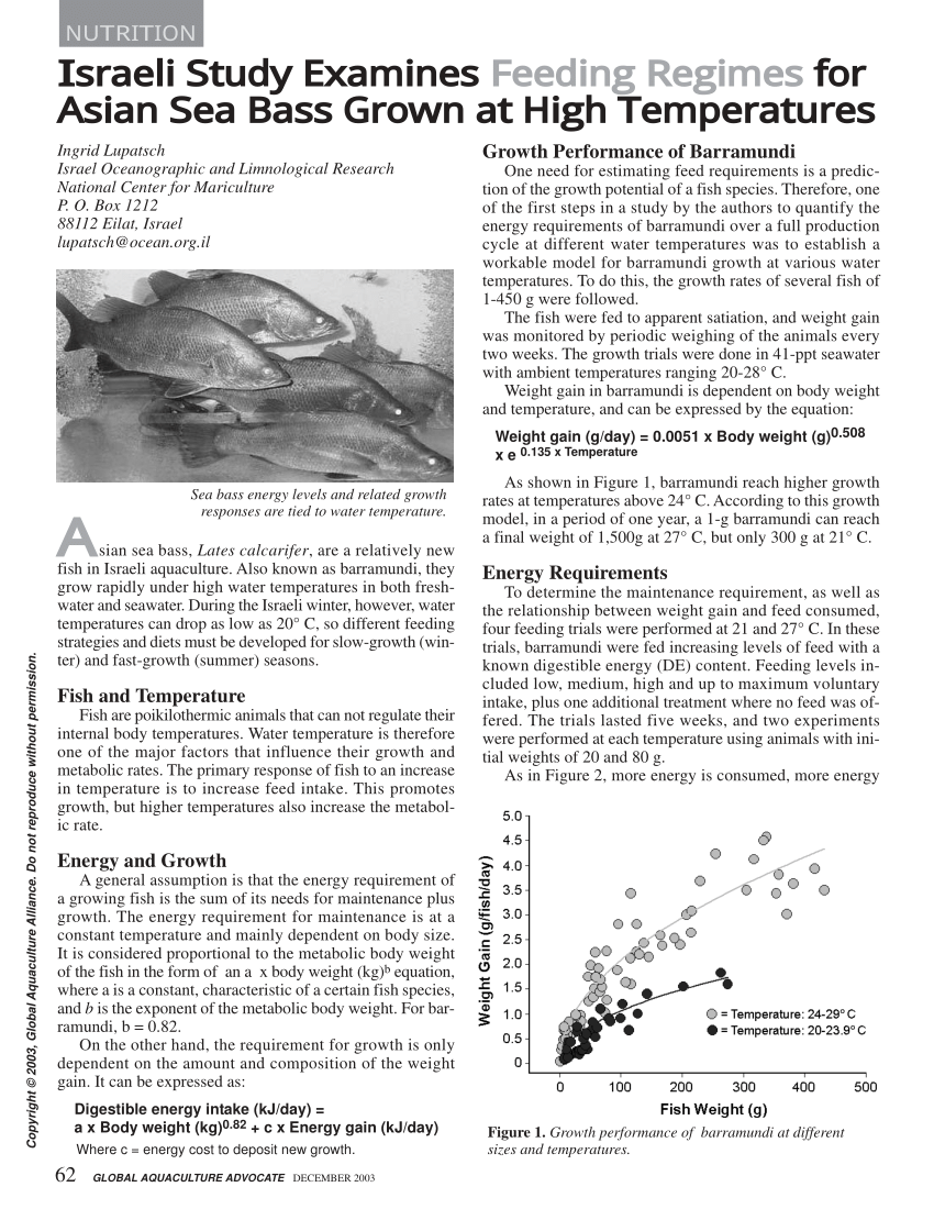 (PDF) Feeding Regimes for Asian Sea Bass Grown at High Temperatures
