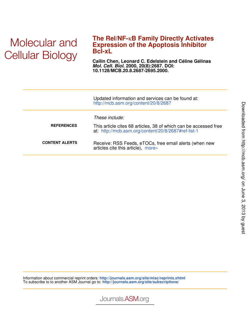 Pdf The Rel Nf Kb Family Directly Activates Expression Of The Apoptosis Inhibitor l Xl