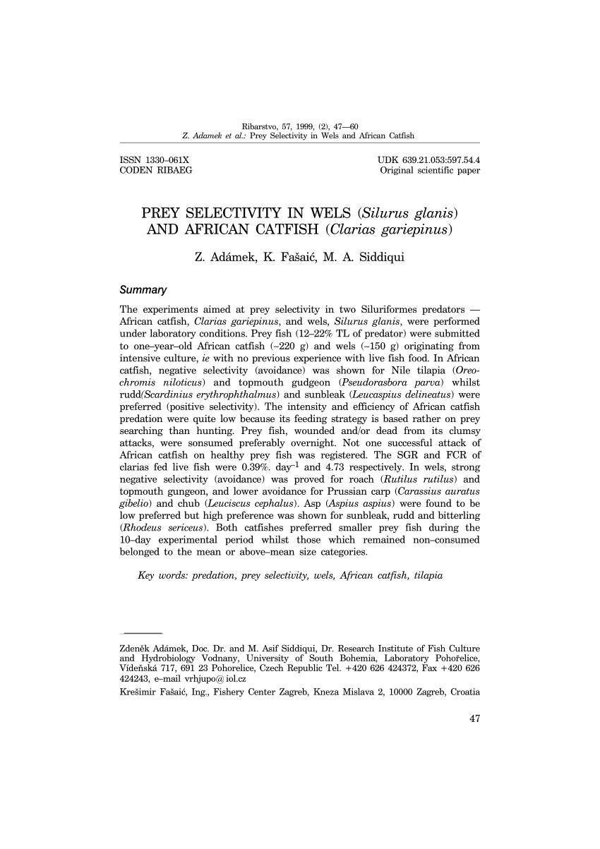 Pdf Prey Selectivity In Wels Silurus Glanis And African Catfish Clarias Gariepinus