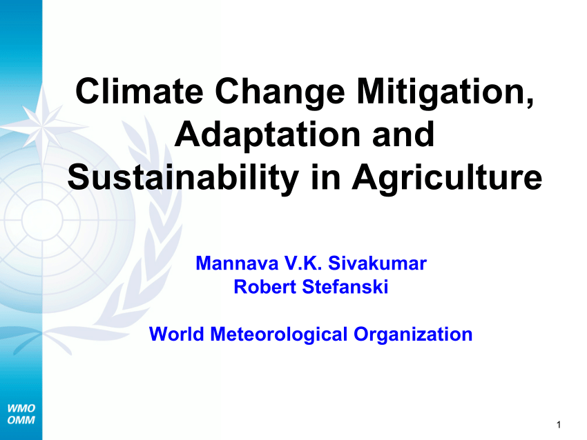 PDF) Climate change mitigation, adaptation, and sustainability in