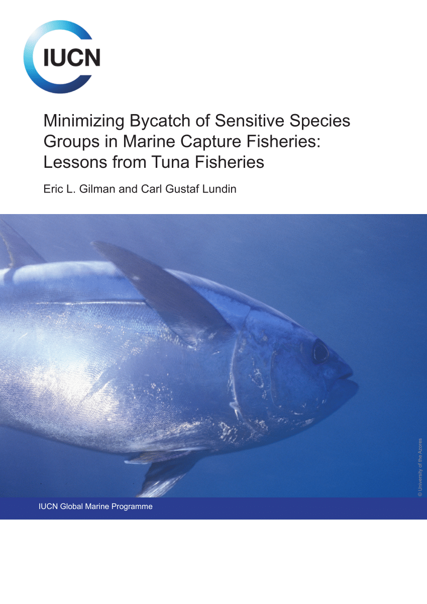 PDF) Minimizing Bycatch of Sensitive Species Groups in Marine Capture  Fisheries: Lessons from Tuna Fisheries Gilman, E., Lundin, C. 2008 (In  Press). Minimizing Bycatch of Sensitive Species Groups in Marine Capture  Fisheries