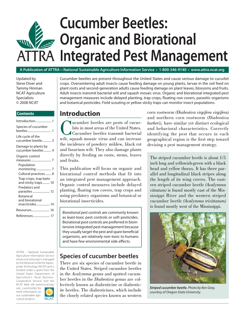 PDF) Cucumber Beetles Organic and Biorational Integrated Pest Management pic