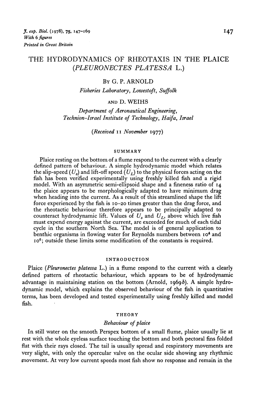 PDF) The Hydrodynamics of Rheotaxis in the Plaice ( Pleuronectes 