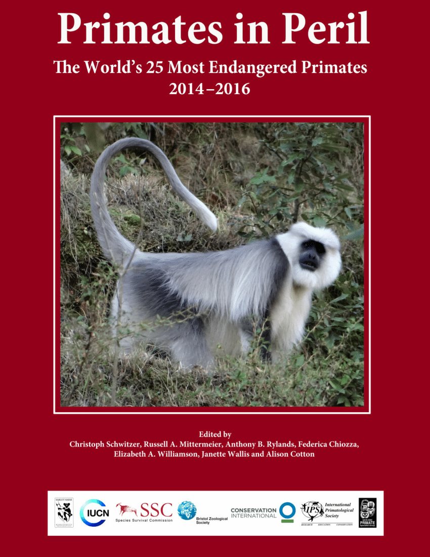 PDF) Primates in Peril: The World's Top 25 Most Endangered Primates