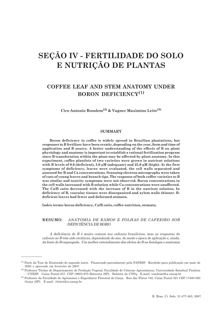 PDF Coffee leaf and stem anatomy under boron deficiency