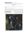 Preview image for Another crotaline prey item of the Neotropical snake Clelia clelia (Daudin 1803)