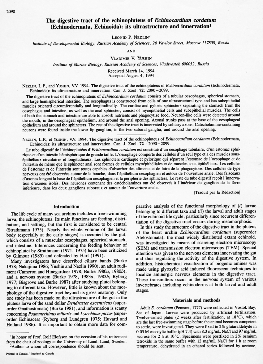 (PDF) The digestive tract of the echinopluteus of Echinocardium ...