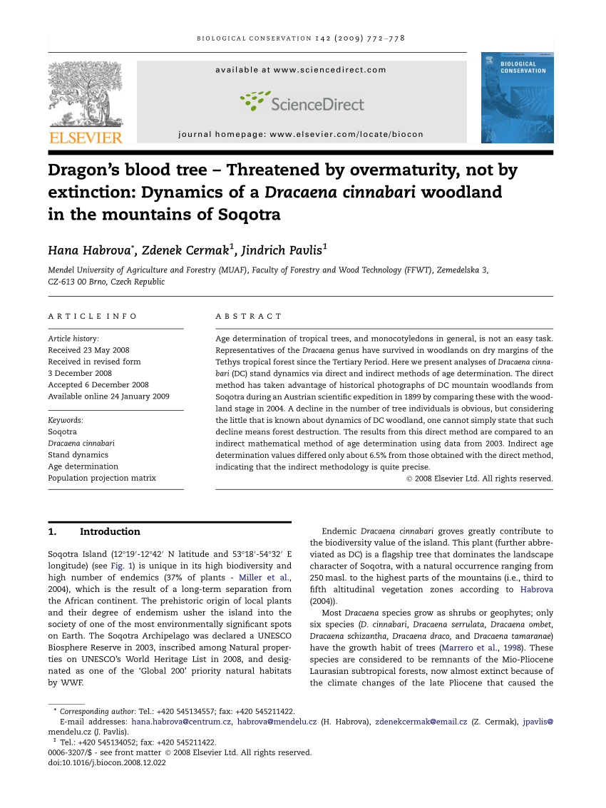 Pdf Dragon S Blood Tree Threatened By Overmaturity Not By Extinction Dynamics Of A Dracaena Cinnabari Woodland In The Mountains Of Soqotra