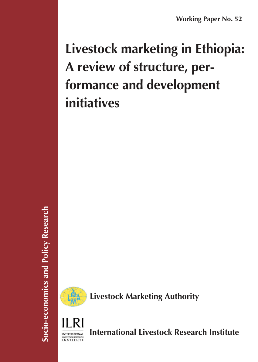 research paper on marketing strategy pdf in ethiopia