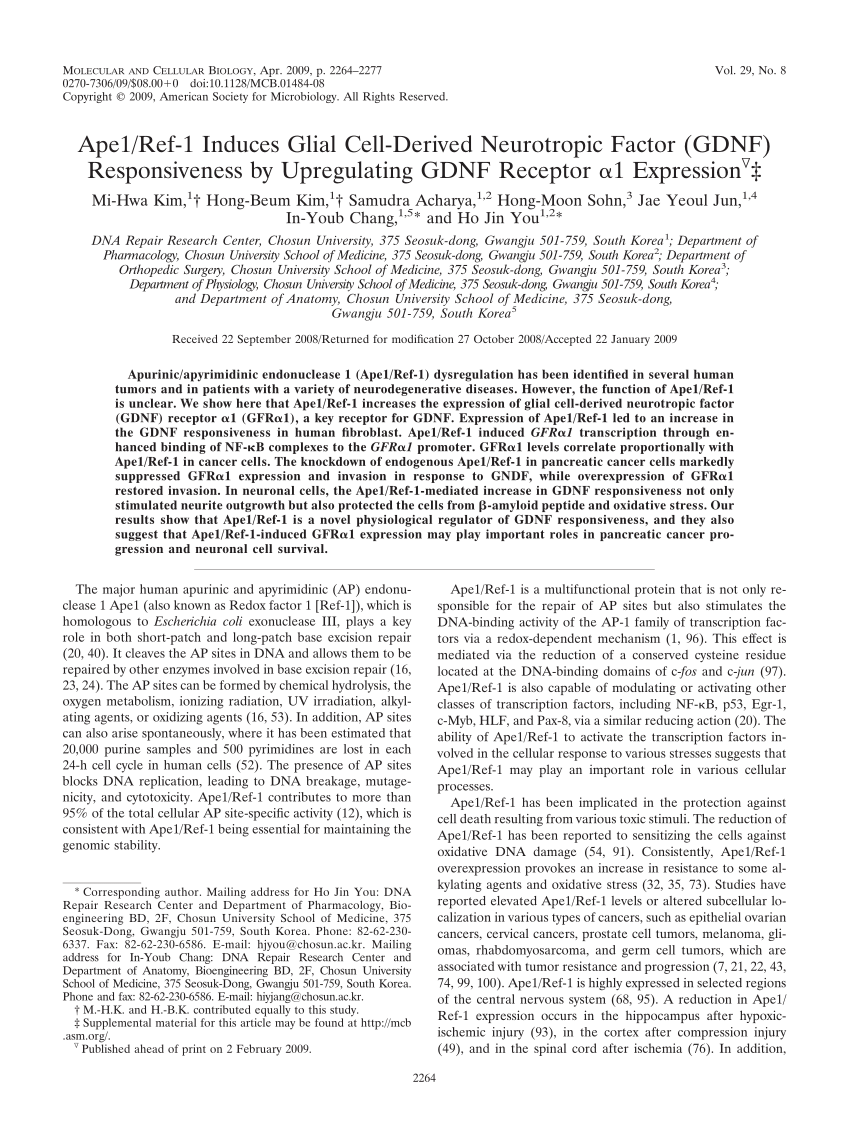 (PDF) Ape1/Ref1 Induces Glial CellDerived Neurotropic Factor (GDNF