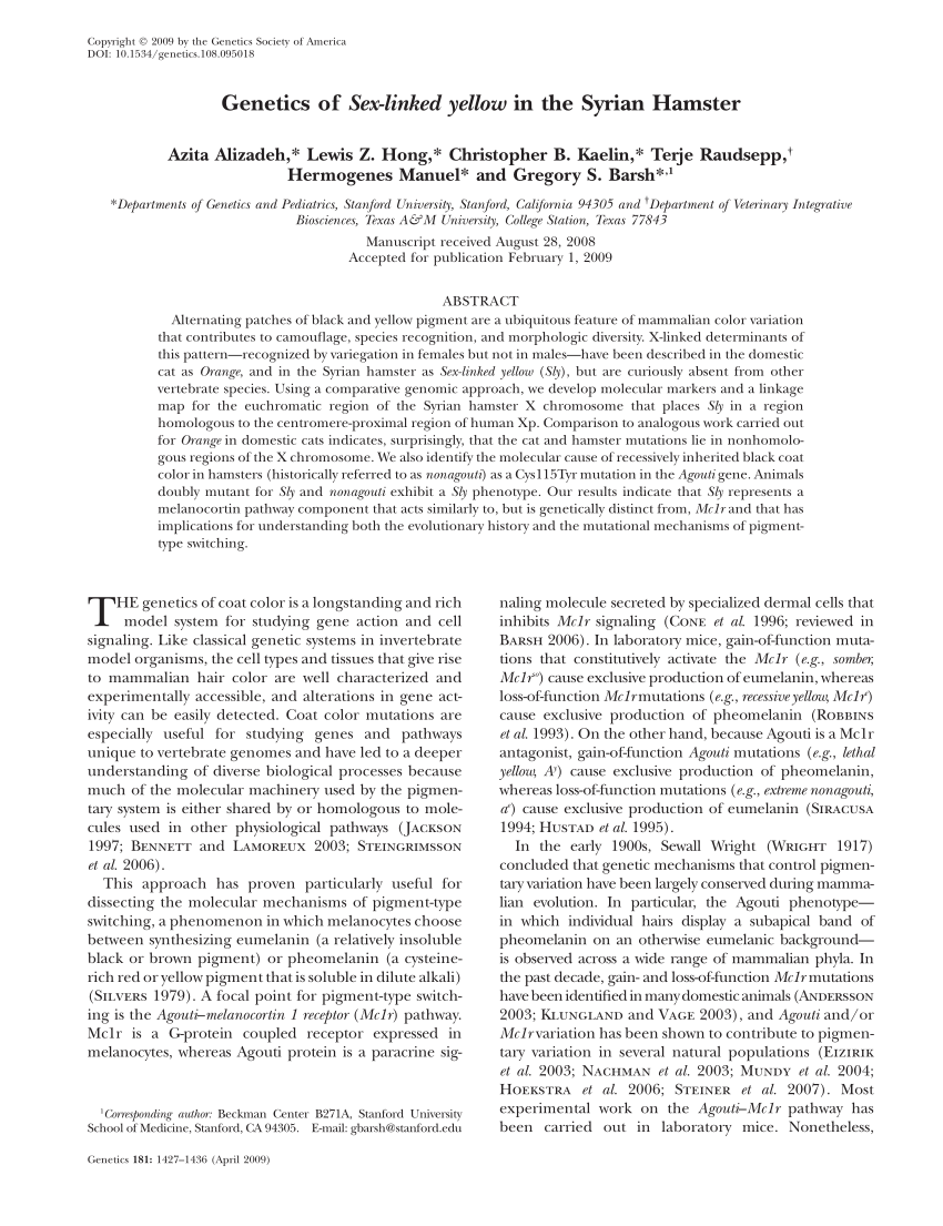 PDF) Genetics of Sex-linked yellow in the Syrian Hamster