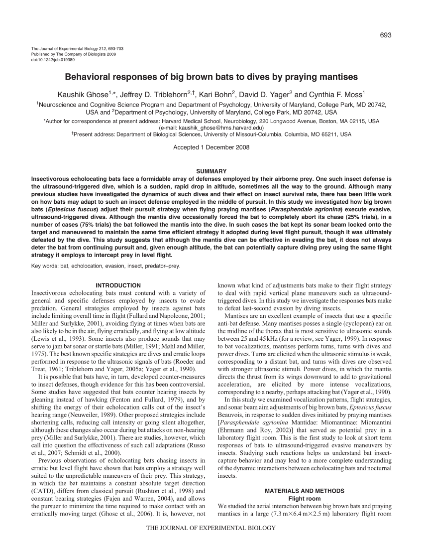 Pdf Behavioral Responses Of Big Brown Bats To Dives By Praying Mantises