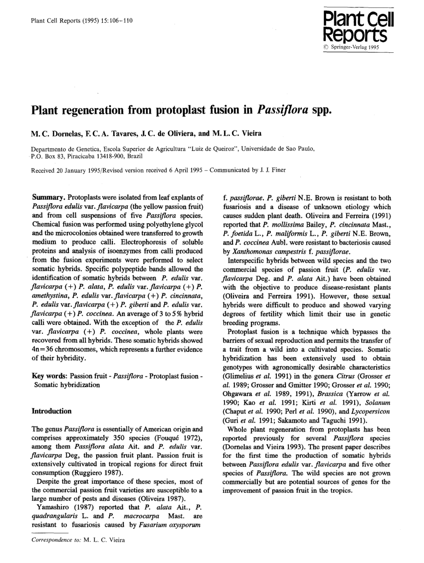 PDF) Comparative karyotype analysis of three Passiflora L. species and  cytogenetic characterization of somatic hybrids