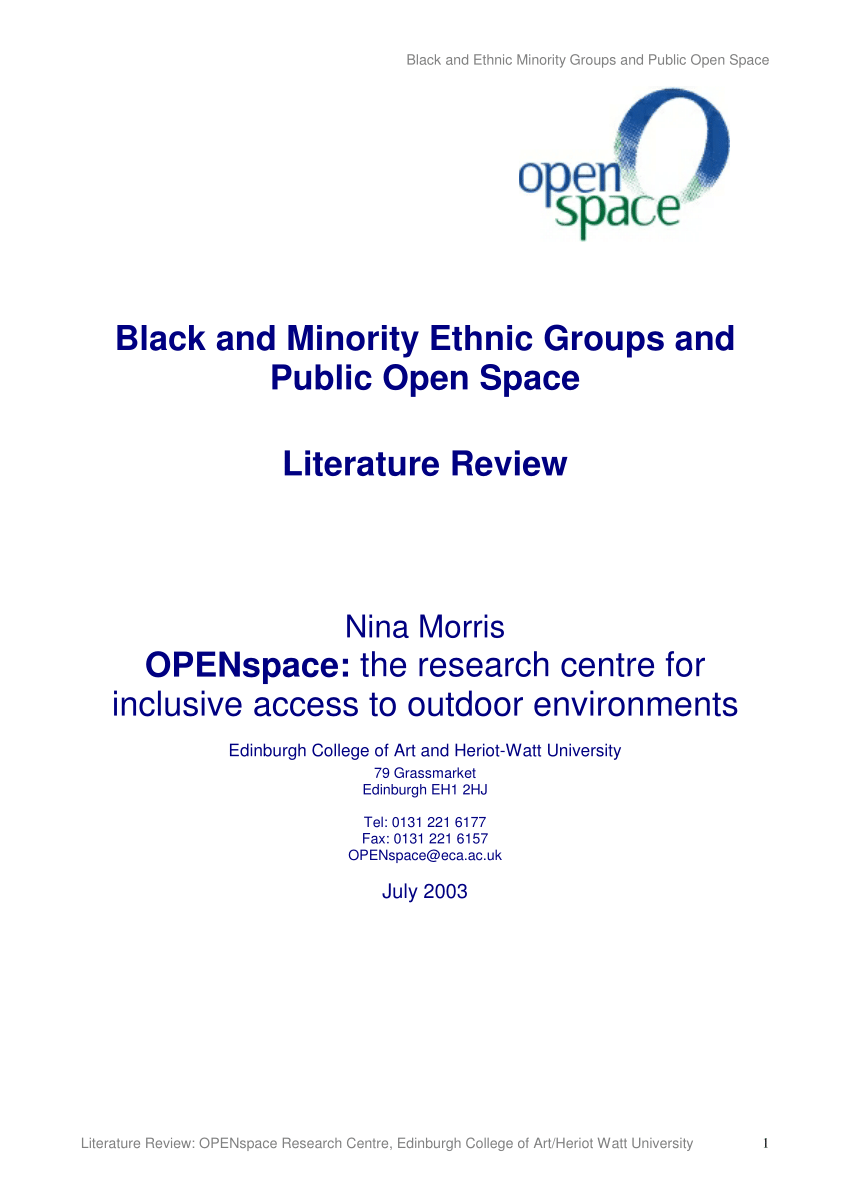 literature review on minority groups