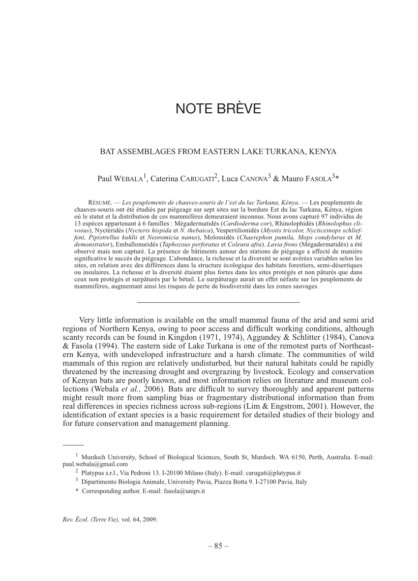 Pdf Bat Assemblages From Eastern Lake Turkana Kenya