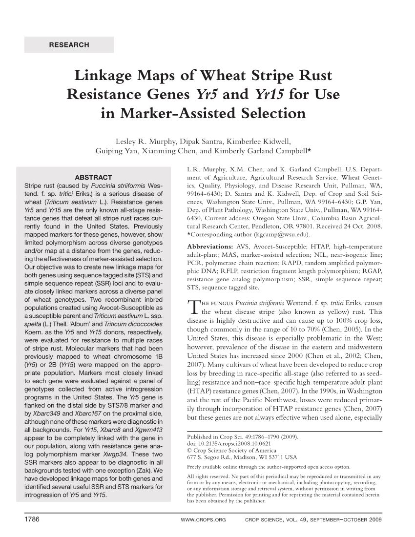 research papers on stripe rust