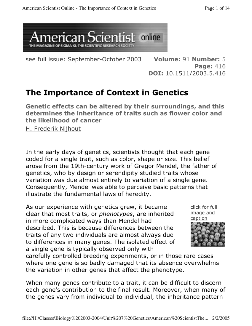 essay about genetics