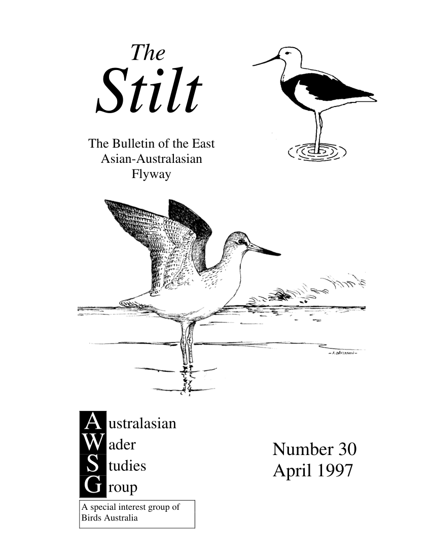 PDF) A fifteen month survey of wader and tern numbers from Corio 