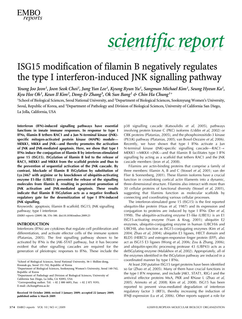 Pdf Isg15 Modification Of Filamin B Negatively Regulates The Type