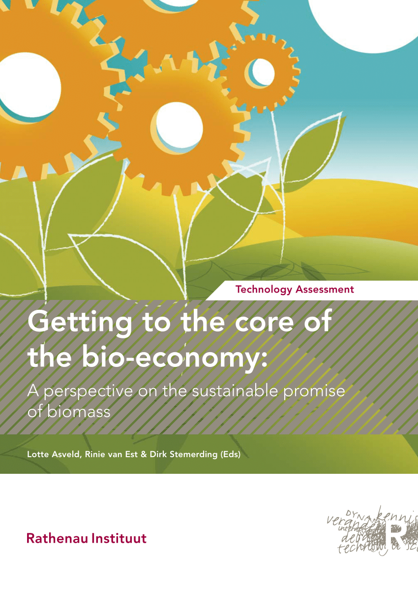 PDF) Getting to the core of the bio-economy: A perspective on the ...