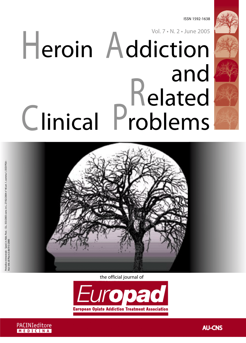 Pdf Long Term Treatment For Patients With Severe Mental Illness And Substance Abuse