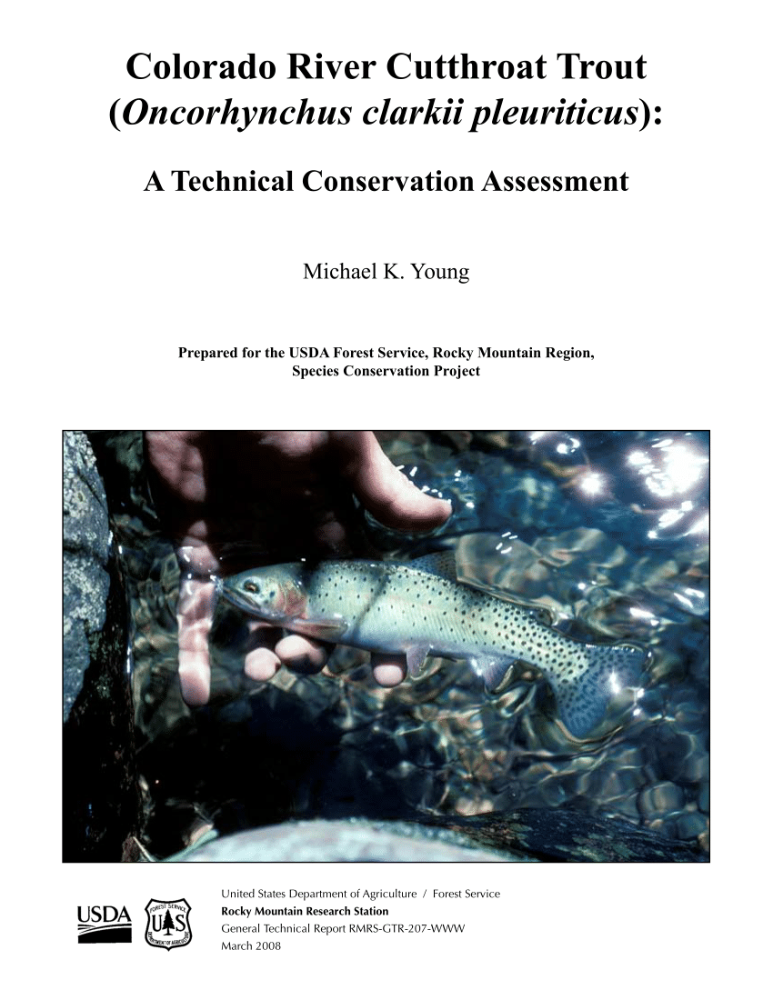 PDF) Colorado River Cutthroat Trout (Oncorhynchus clarkii pleuriticus): A  Technical Conservation Assessment
