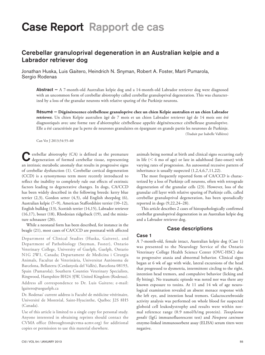 Pdf Cerebellar Granuloprival Degeneration In An Australian Kelpie