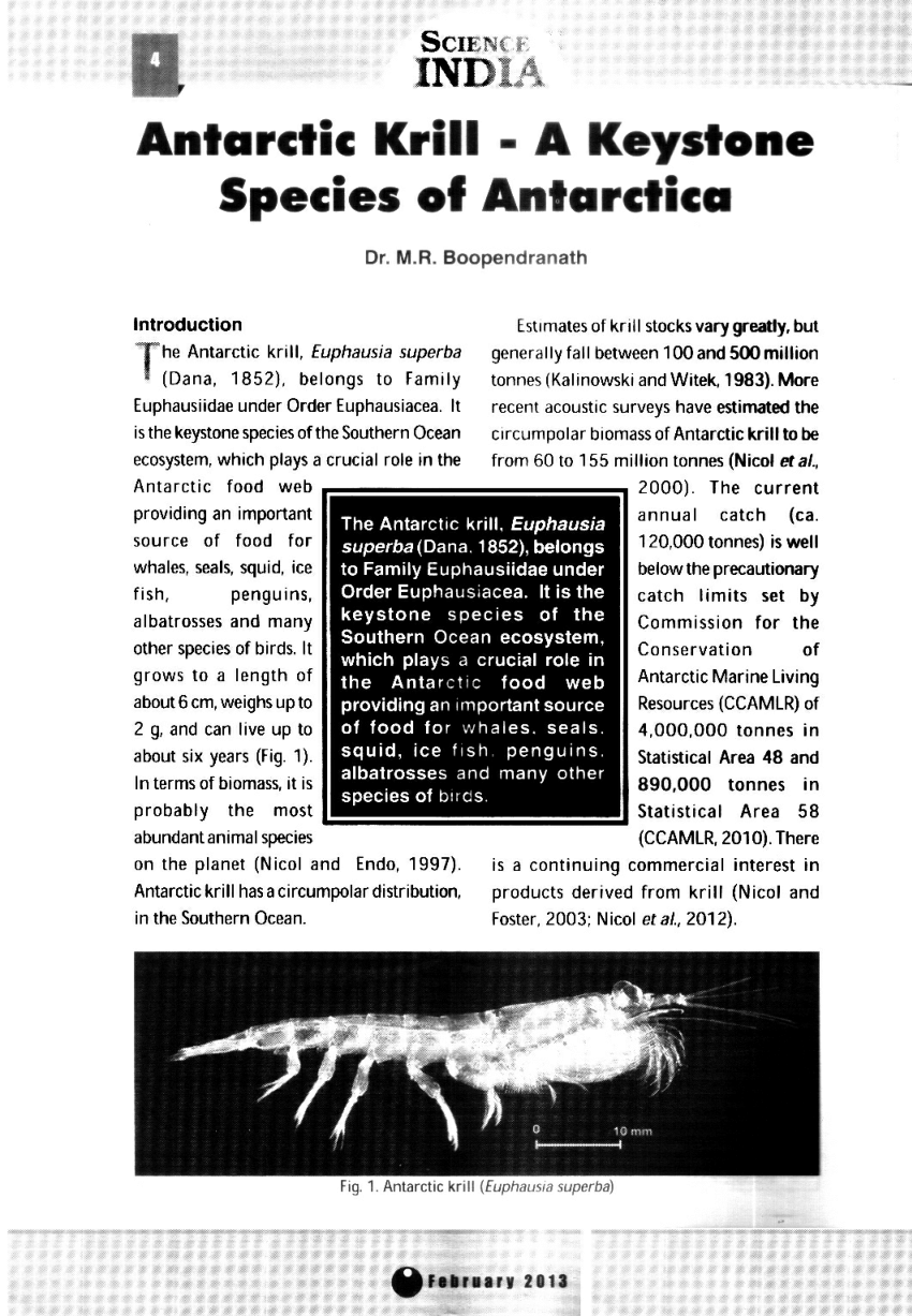 (PDF) Antarctic krill - a keystone species of Antarctica