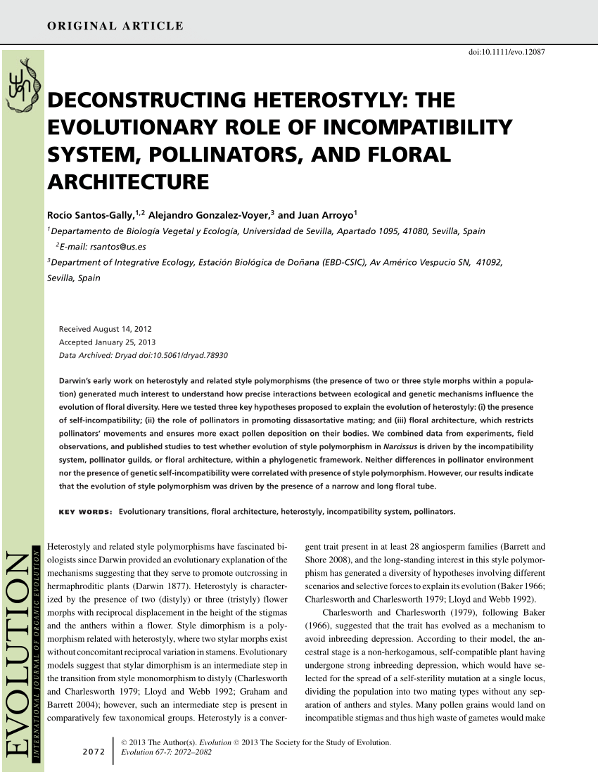 Diverse mating consequences of the evolutionary breakdown of the sexual  polymorphism heterostyly