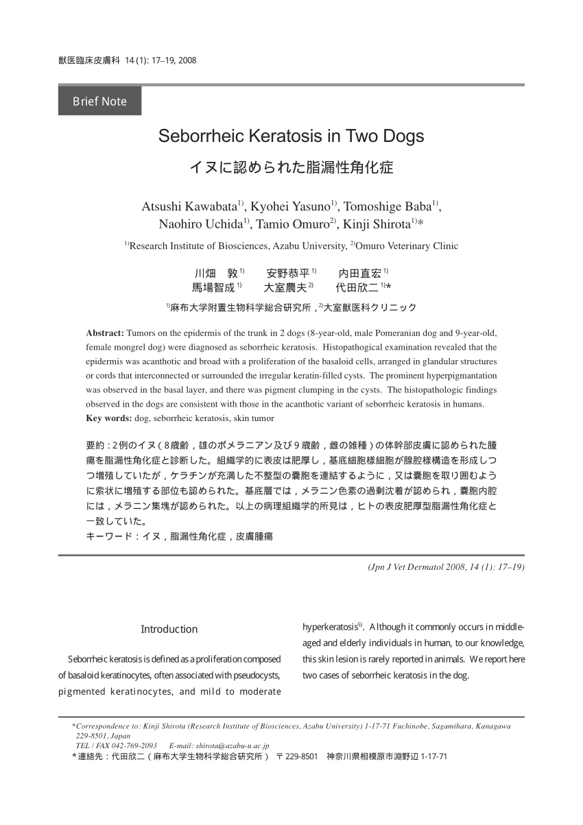 Pdf Seborrheic Keratosis In Two Dogs