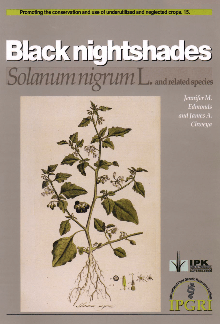 Pdf Black Nightshades Solanum Nigrum L And Related Species