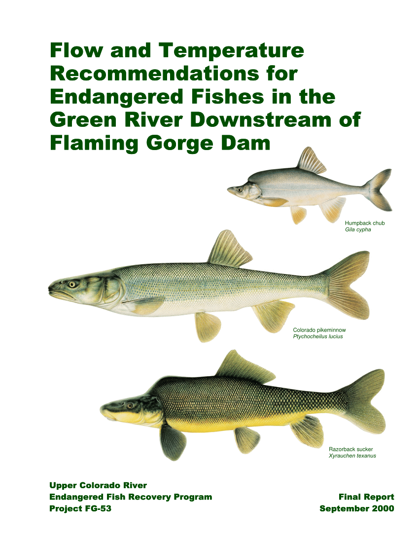 PDF) Flow Recommendations for Endangered Fishes in the Green River  Downstream of Flaming Gorge Dam