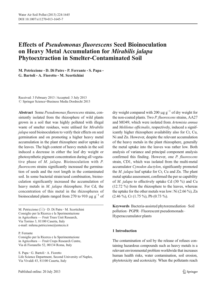 Pdf Effects Of Pseudomonas Fluorescens Seed Bioinoculation On Heavy Metal Accumulation For Mirabilis Jalapa Phytoextraction In Smelter Contaminated Soil