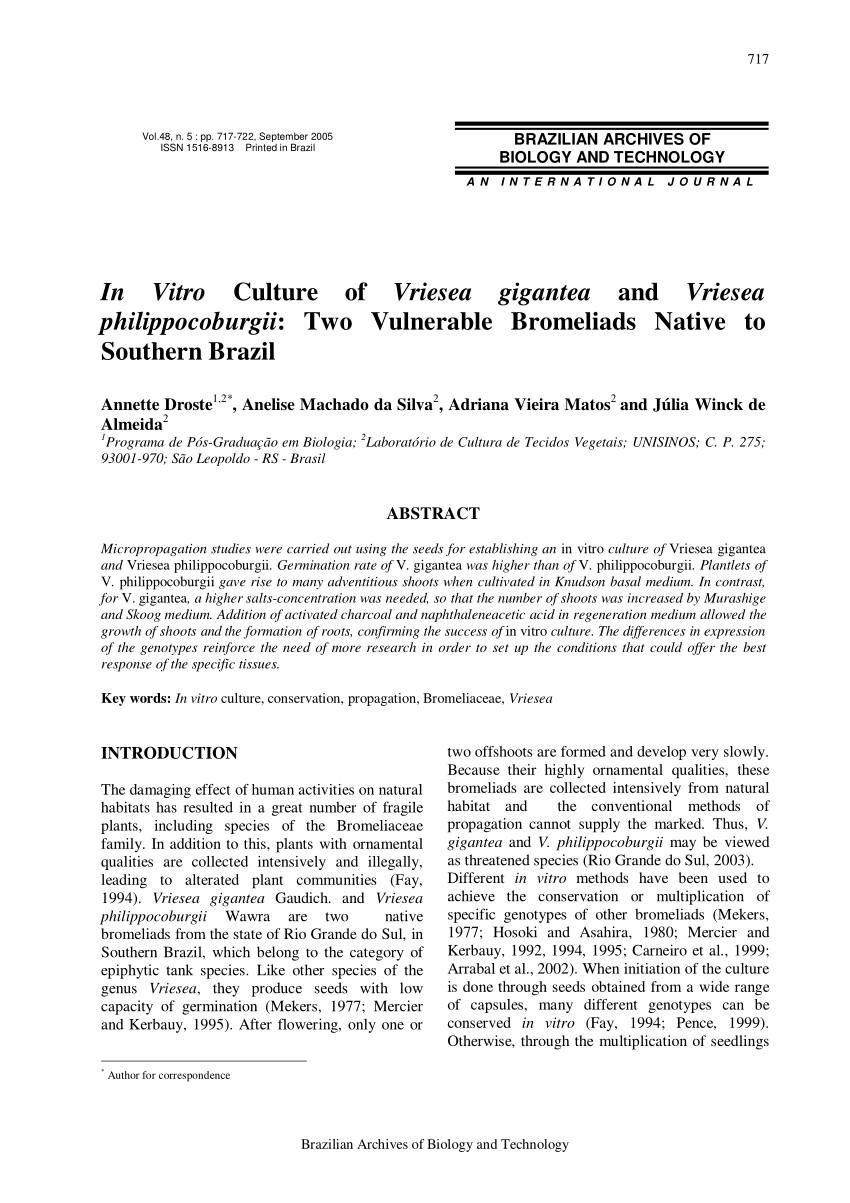 Pdf In Vitro Culture Of Vriesea Gigantea And Vriesea Philippocoburgii Two Vulnerable Bromeliads Native To Southern Brazil