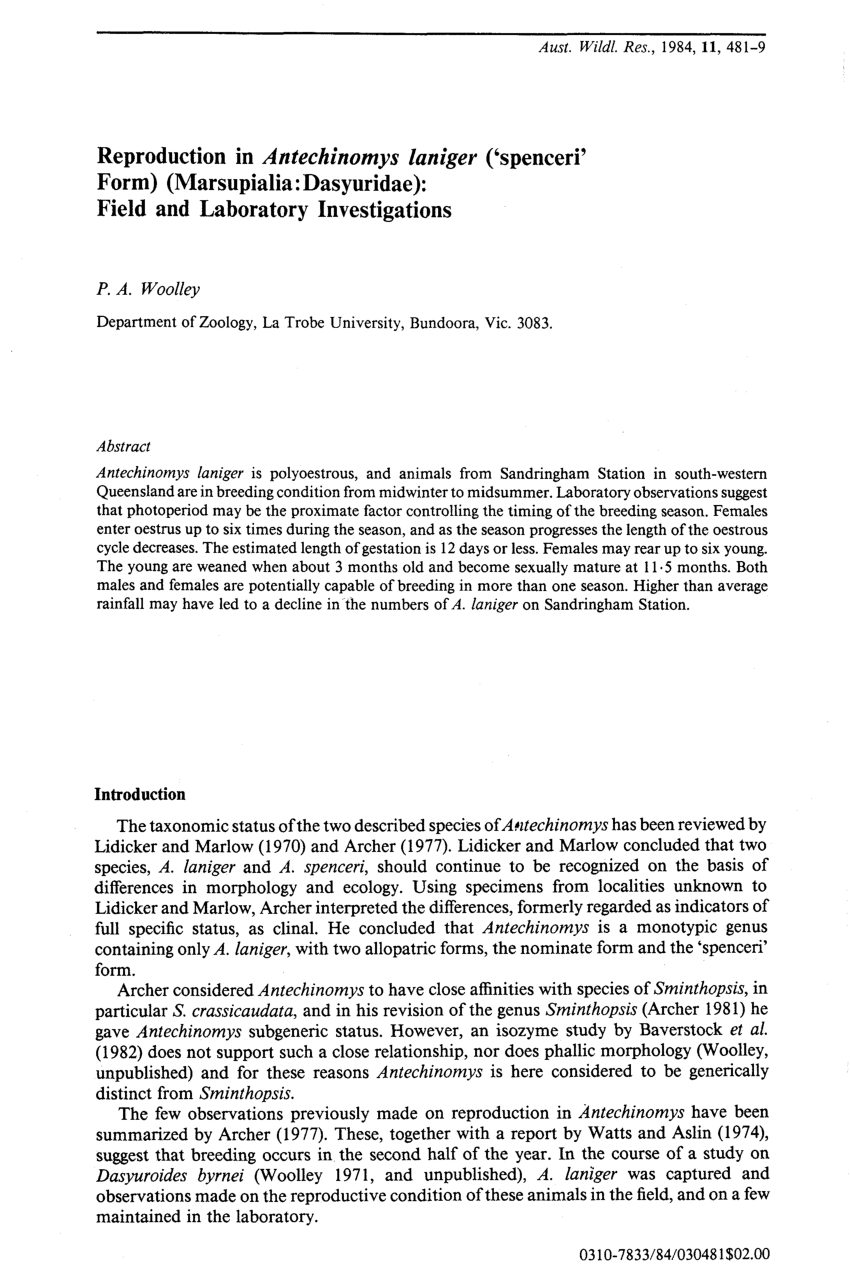 (PDF) Reproduction in Antechinomys laniger ('spenceri' Form