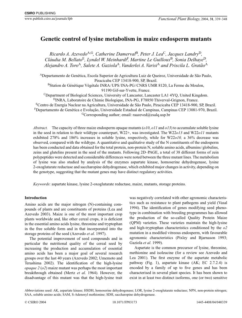 Pdf Genetic Control Of Lysine Metabolism In Maize Endosperm Mutants