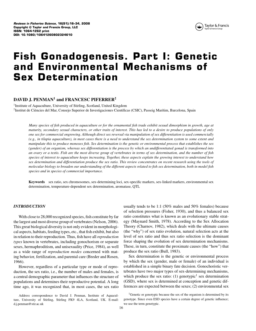Pdf Fish Gonadogenesis Part I Genetic And Environmental Mechanisms Of Sex Determination