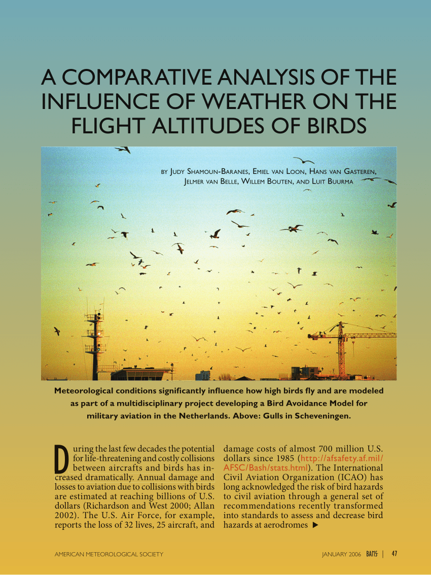 Pdf A Comparitive Analysis Of The Influence Of Weather On The Flight Altitudes Of Birds