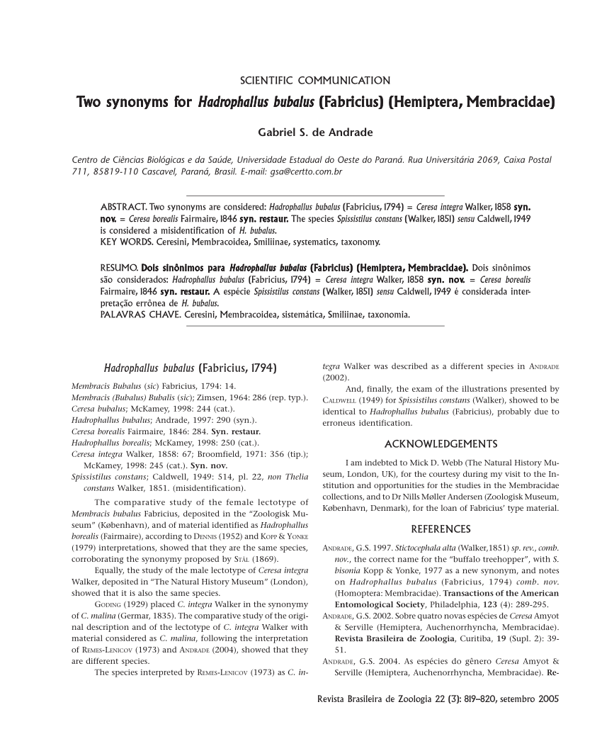 Pdf Two Synonyms For Hadrophallus Bubalus Fabricius Hemiptera Membracidae